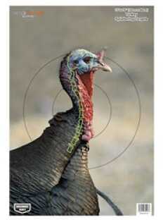 Birchwood Casey 35403 Pregame Hanging Paper 12" x 18" Turkey Multi 8 Pack