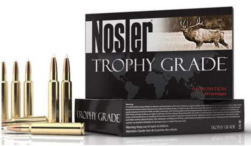 NOSLER TGA 243 100G PTSP 20BX