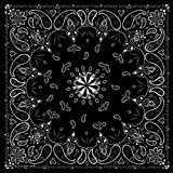 ZANheadhear Cotton Bandanna - Black Paisley Md: B001