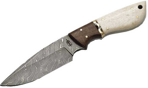 BucknBear Drop Pt Hunter Fixed 4 in Blade Camel Bone Handle