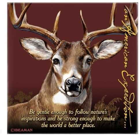 American Expedition Square Coaster - Whitetail Deer