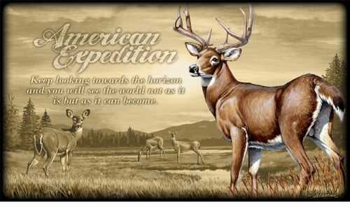 American Expedition Canvas Art - Whitetail Deer
