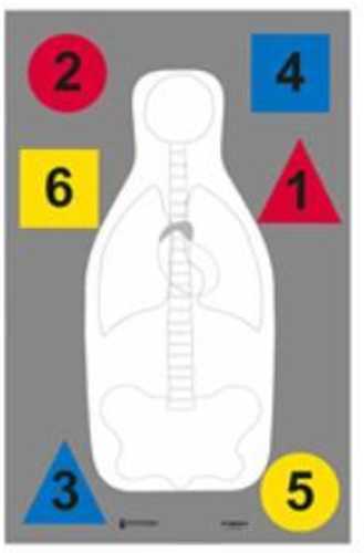 Action Target Inc DTANTQA100 Muli-Purpose Anatomy And Command 
Paper 23" X 35" Silhouette Black/Blue/Red/Yellow/Gray 100