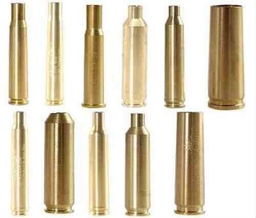 Aimshot Arbor 20 Gauge