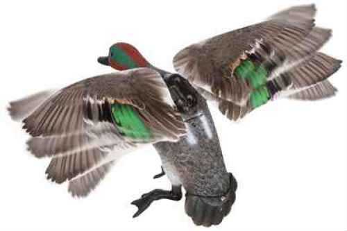 Expedite 731116 Rapid FLYER Teal 6V