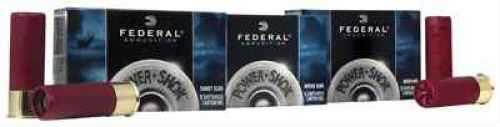 10 Gauge 3-1/2" Slug  1-3/4 oz 5 Rounds Federal Shotgun Ammunition