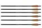 CENTERPOINT Premium ARROWS 6Pk