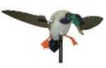 Mojo HW5111 Super Mallard Decoy