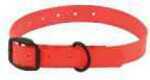 Avery Dog Collar Blaze Orange Kut-To-Fit