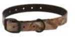 Avery Dog Collar Camo Kut-To-Fit