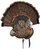 Avian X AVXAVX8021 Trophy Tom Turkey Species Multi Color