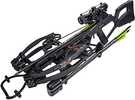 Bear X Intense Crossbow Package-stoke