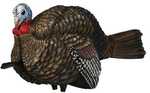 Avian-x Lcd Half-strut Jake Decoy