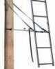 Big Dog Tree Stand Ladder Ext 5ft 2006-2009 Single Rail