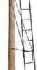 Big Dog Tree Stand Ladder Ext 5ft BDL091/106 Single Rail