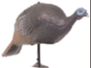 Carry-Lite Easy Fold Alert Hen Turkey Decoy