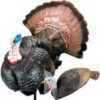 Carry-Lite Turkey Decoy Pretty Boy & Girl