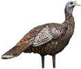 Avian X Lcd- Lookout Turkey Decoy