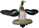 Higdon Outdoors XS Floating Flasher Mallard Drake Motion Decoy 12V