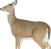 Montana Decoy Co Dreamy Doe