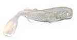 Edge Hybrids Marsh Minnow 3In 10Pk SmokIn Magic Md#: M38800