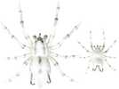 LH PHANTOM SPIDER 2" WHITE WOLF