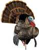 Avian X HDR Strutter Turkey Decoy