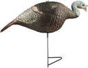 The Grind Relaxed Hen Turkey Decoy