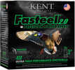 Kent Fasteel 2.0 Precision Plated Steel Load 12 ga. 3 in. 1 1/4 oz. 4 Shot 25 rd. Model: K123FS36-4