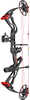 Warrior River Courage Compound Bow Package Black 20-70 lbs. RH