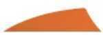 Gateway Rayzr Feathers Orange 2 in. RW 50 pk. Model: 200RRSFO-50