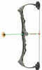 NXT Generation BOYS Gray Rapid Riser Compound Bow W/3 ARROWS