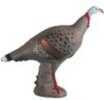 Rinehart Tom Turkey Target Model: 41511