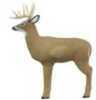 Shooter Big Buck Target Model: 72000