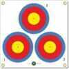 Arrowmat Foam Target Face 3 Spot 17x17 in. Model: AM3S17