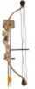 Arrow Precision Stag Youth Archery Set 24"-26" 20Lbs RH