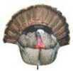 MONTANA 2D FANATIC GOBBLER FAN