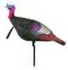 MAD Walking Tom Turkey Decoy Model: MD-715