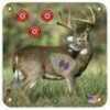 Arrowmat XL Foam Target Face Big Buck 34x34 in. Model: AMBB34