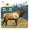 Arrowmat XL Foam Target Face Elk 34x34 in. Model: AMEK34