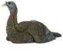 Avian X Lcd LAYDOWN Hen Decoy