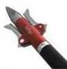 Rexpid III Broadhead 100 gr. 3 pk. Model: