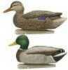 AvianX Top Flight Duck Decoys Open Water Mallard 6 pk. Model: AVX-AVX8060