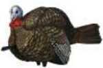 Avian X Lcd 1/2 Strut Jake Decoy