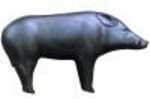 RW Black Boar Target Model: 3D550BB