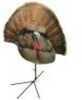 Montana Decoy Turkey Gobbler Fanatic Xl W/Foot Base