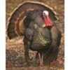 DuraMesh Archery Target Turkey 3 32 in. x 25 in. Model: DM218