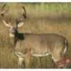 DuraMesh Archery Target Whitetail 4 25 in. x 32 in. Model: DM222