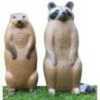 RW Raccoon and Groundhog Combo Target Model: 3D900CR