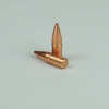 OEM Blem Bullets 22 Caliber .224 Diameter 55 Grain Lead Free Hollow Point 50 Count (Blemished)